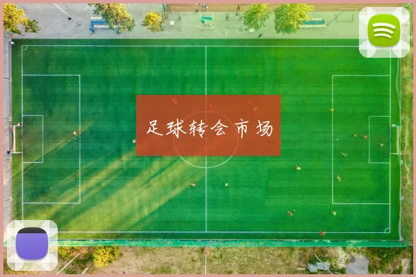 足球转会市场