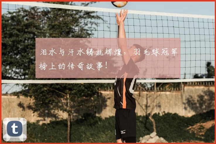 泪水与汗水铸就辉煌，羽毛球冠军榜上的传奇故事！