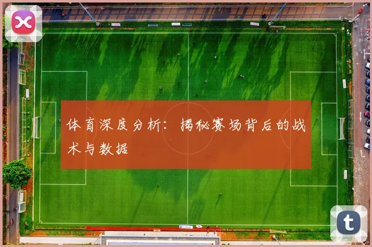体育深度分析：揭秘赛场背后的战术与数据