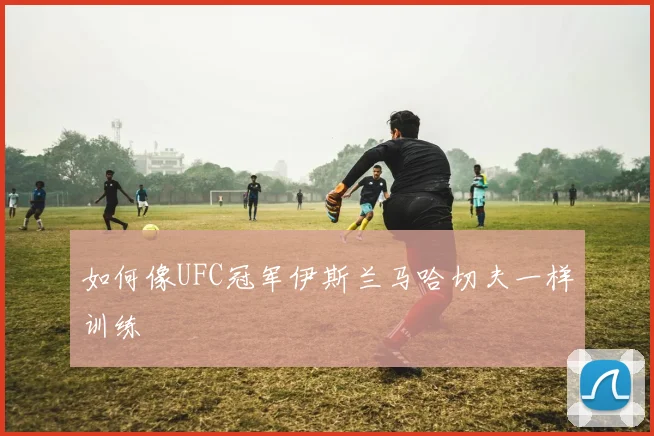 如何像UFC冠军伊斯兰马哈切夫一样训练