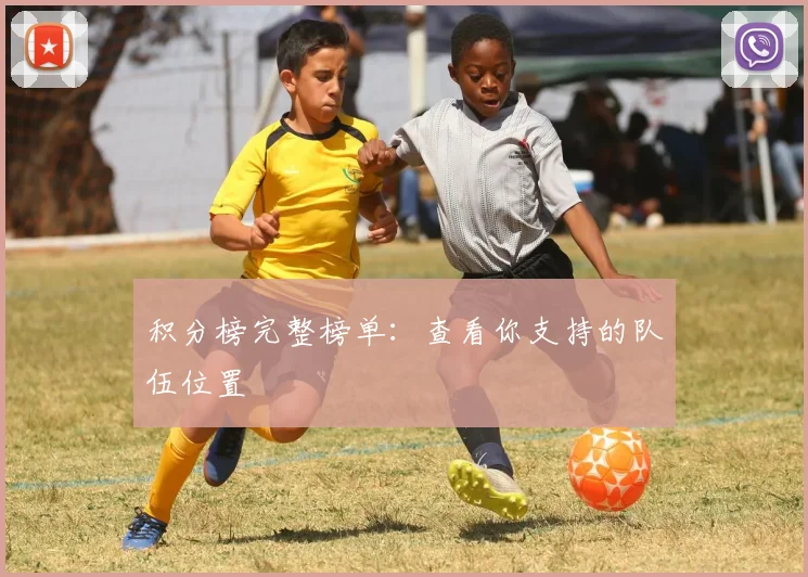 积分榜完整榜单：查看你支持的队伍位置