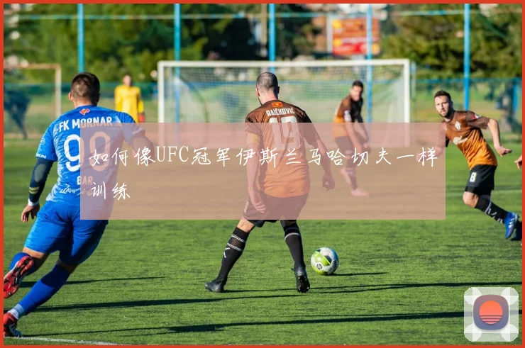 如何像UFC冠军伊斯兰马哈切夫一样训练