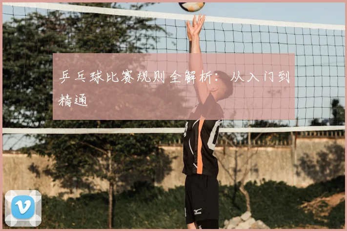 乒乓球比赛规则全解析：从入门到精通