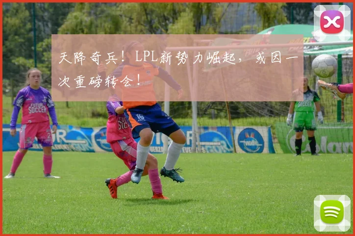 天降奇兵！LPL新势力崛起，或因一次重磅转会！